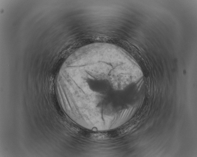 X0000087350511200705181130