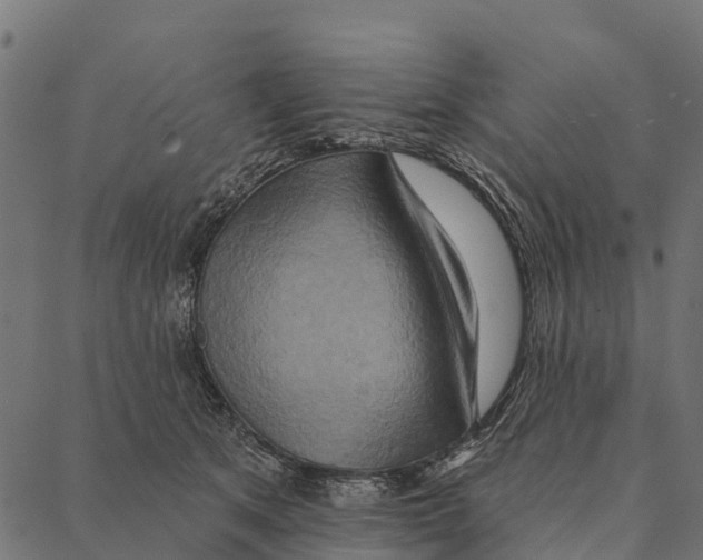 X0000087350513200705181130