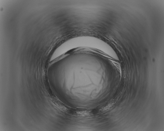 X0000087350516200705181130