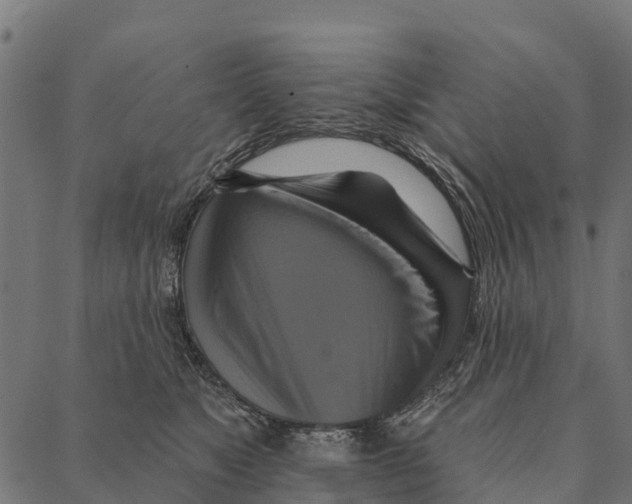 X0000087350517200705181130