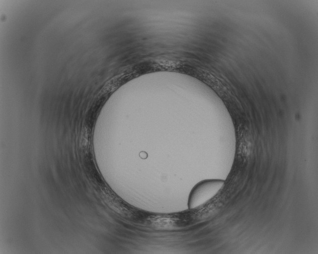 X0000087350518200705181130