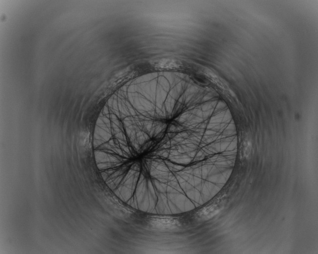 X0000087350521200705181129