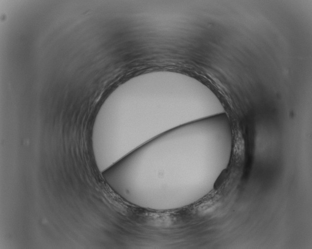 X0000087350524200705181129