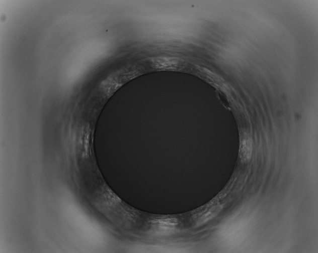 X0000087350525200705181129