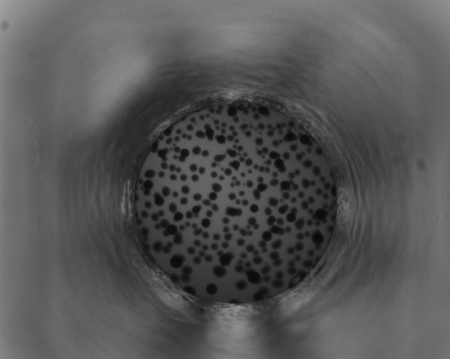 X0000087350527200705181129