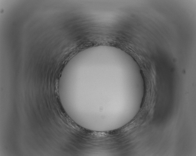 X0000087350528200705181129