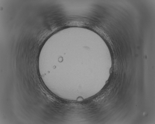 X0000087350529200705181129