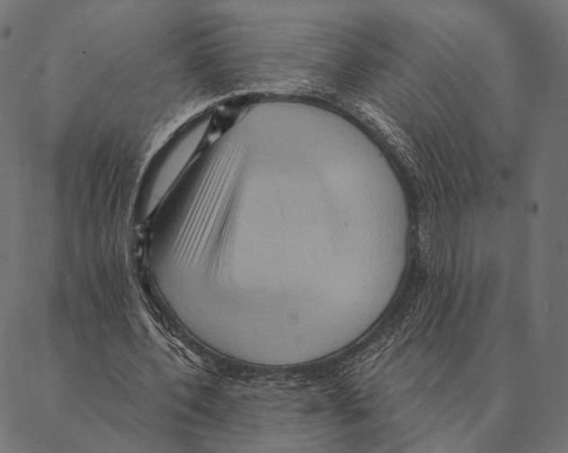 X0000087350532200705181129