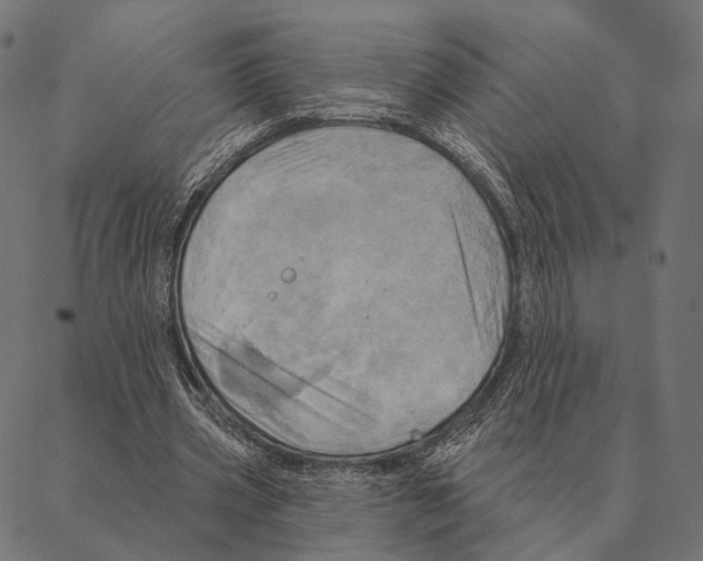 X0000087350533200705181129