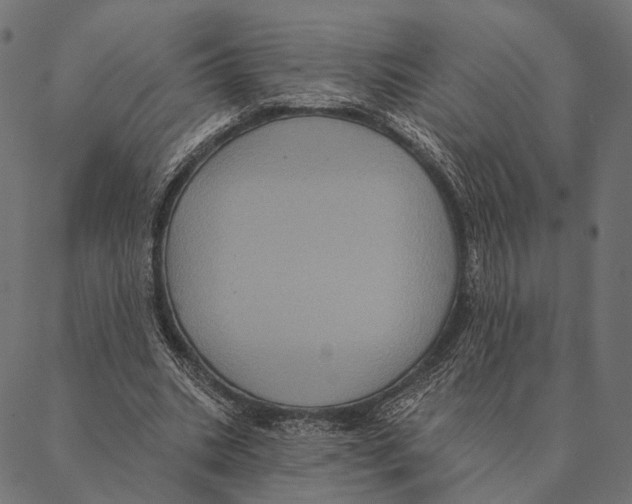 X0000087350535200705181129