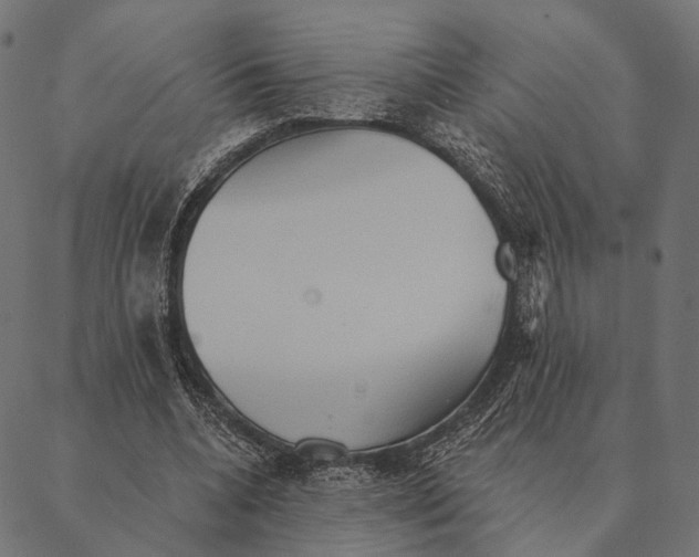 X0000087350536200705181129