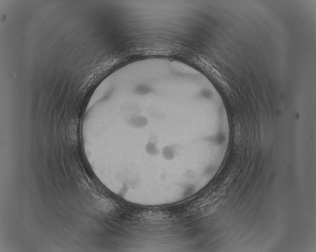 X0000087350537200705181129