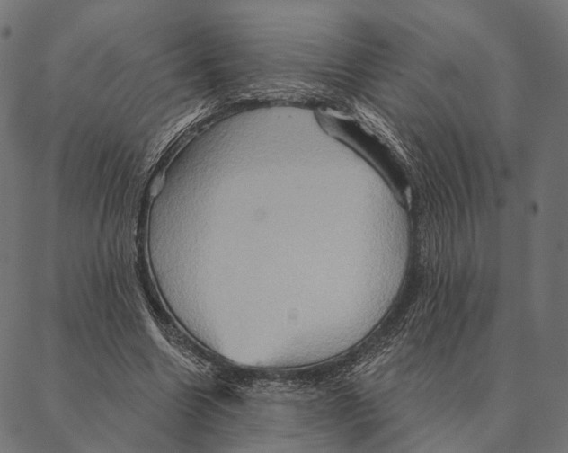 X0000087350538200705181129