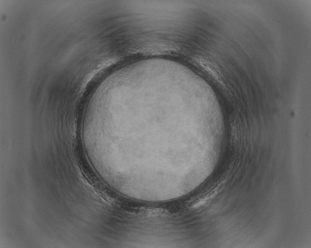 X0000087350539200705181129