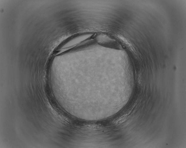 X0000087350540200705181129