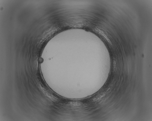 X0000087350541200705181129