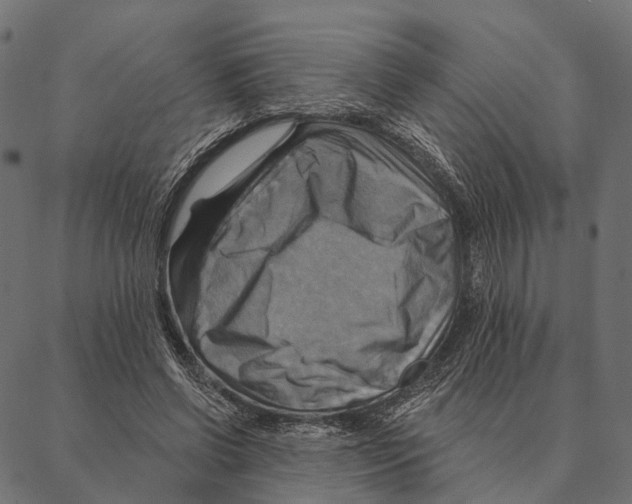 X0000087350542200705181129