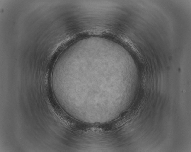 X0000087350543200705181129