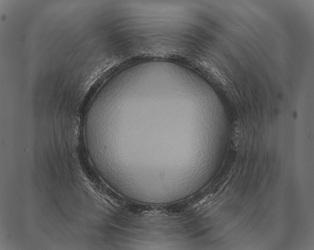 X0000087350544200705181129