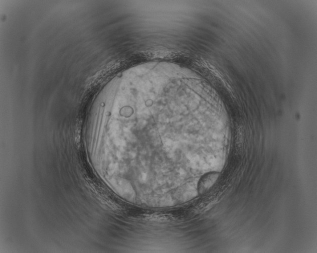 X0000087350545200705181129