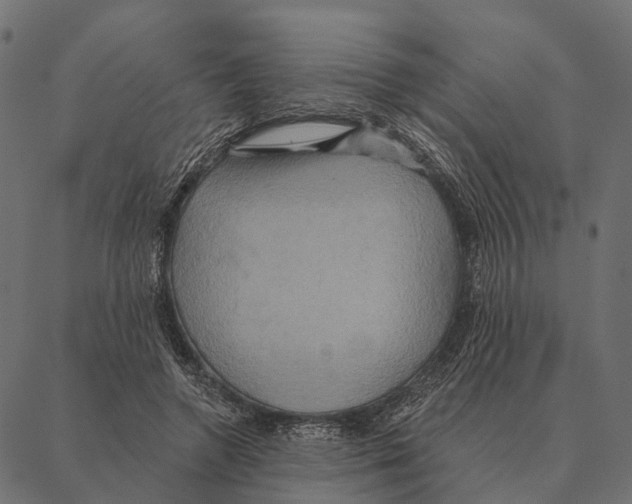 X0000087350546200705181129