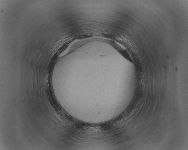 X0000087350548200705181129