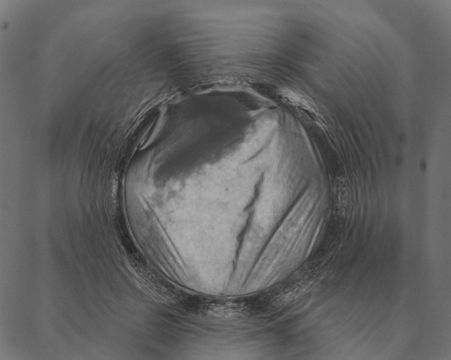 X0000087350550200705181129