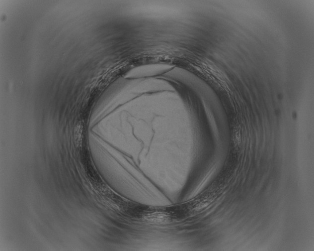 X0000087350551200705181129