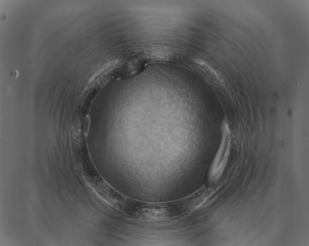 X0000087350552200705181129