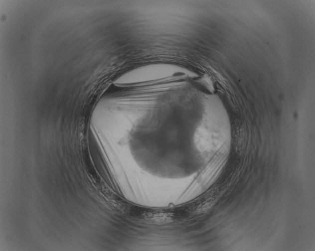 X0000087350553200705181129