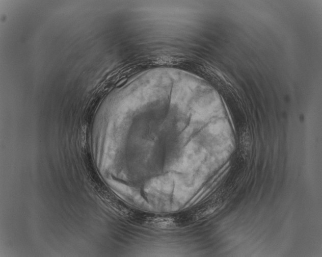 X0000087350554200705181129