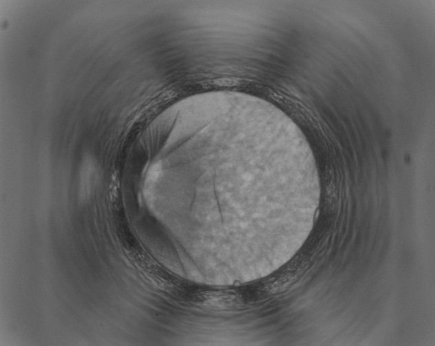 X0000087350555200705181129