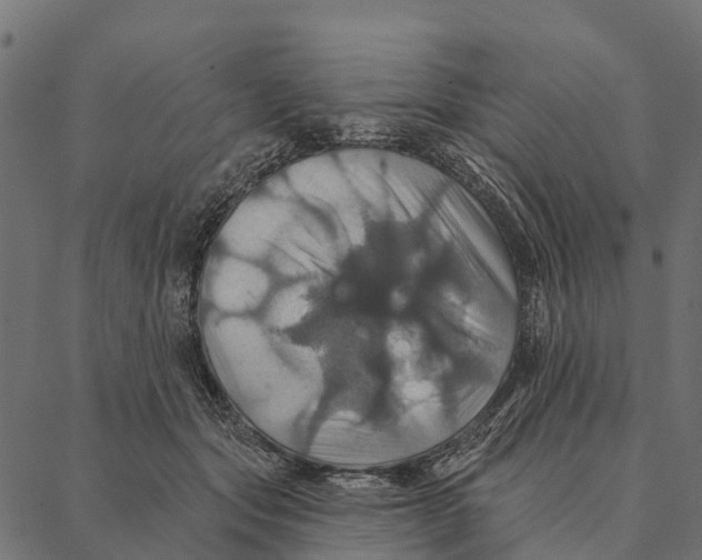 X0000087350557200705181129