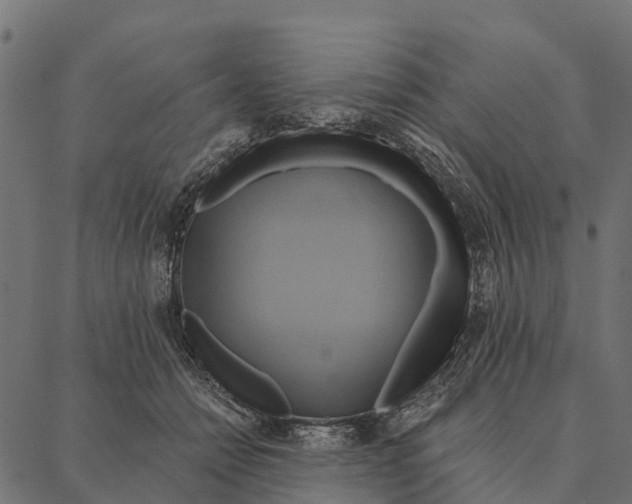 X0000087350558200705181129