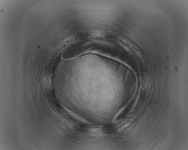 X0000087350560200705181129