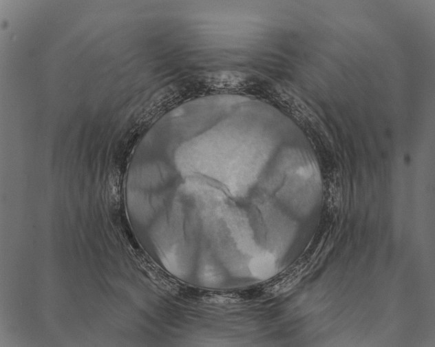 X0000087350561200705181129