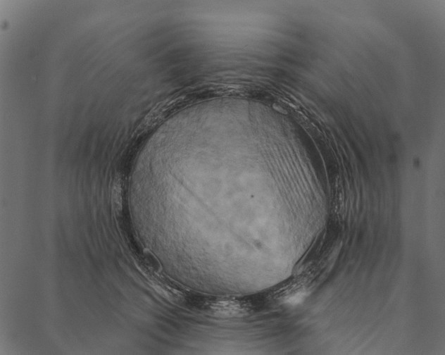 X0000087350562200705181129