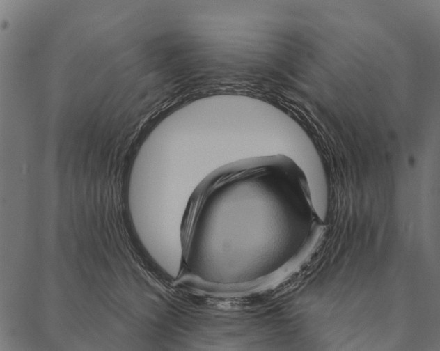 X0000087350564200705181129