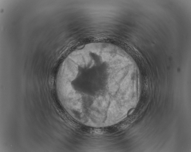 X0000087350565200705181129