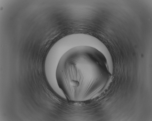 X0000087350566200705181129