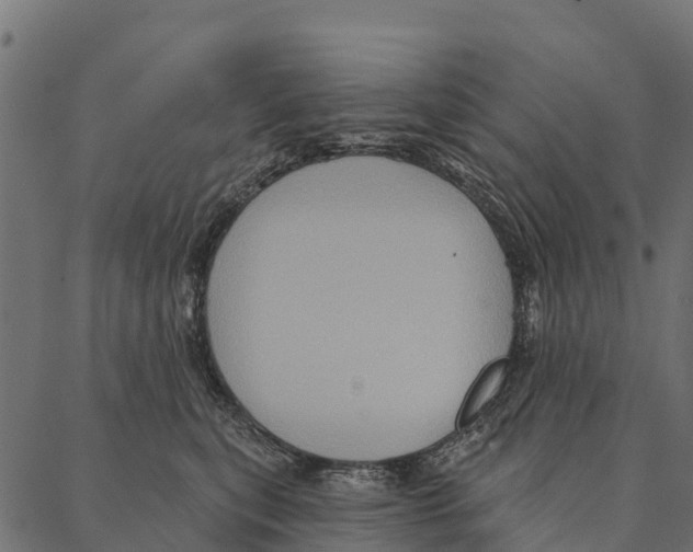 X0000087350567200705181129