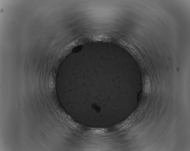 X0000087350569200705181129