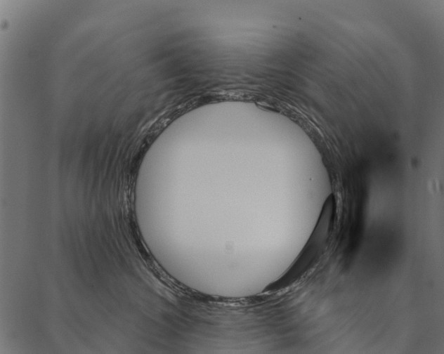 X0000087350572200705181129