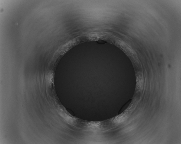 X0000087350574200705181129