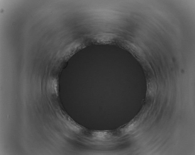 X0000087350575200705181129