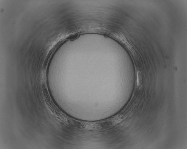 X0000087350579200705181129