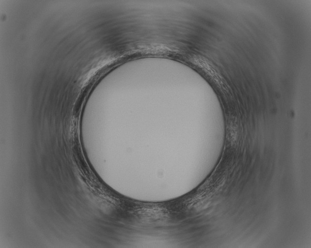 X0000087350583200705181128