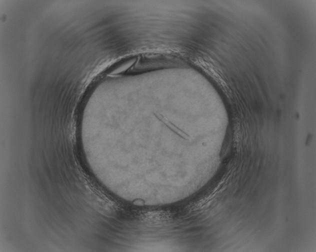 X0000087350584200705181128