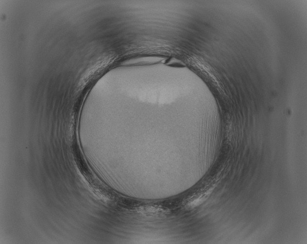 X0000087350586200705181128