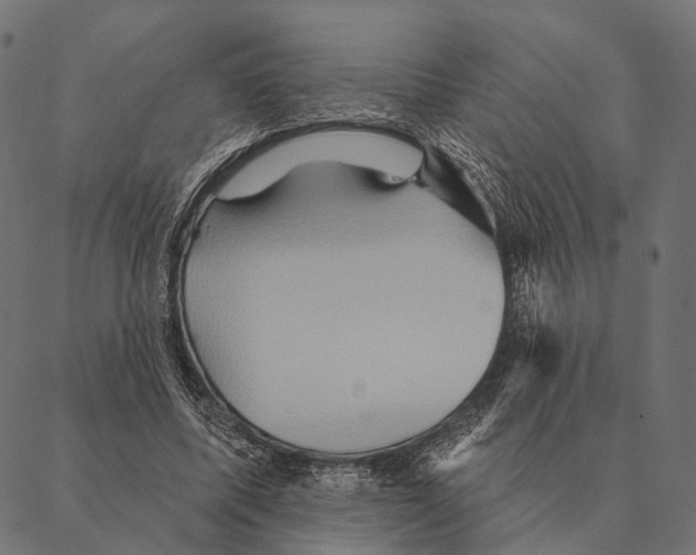 X0000087350587200705181128